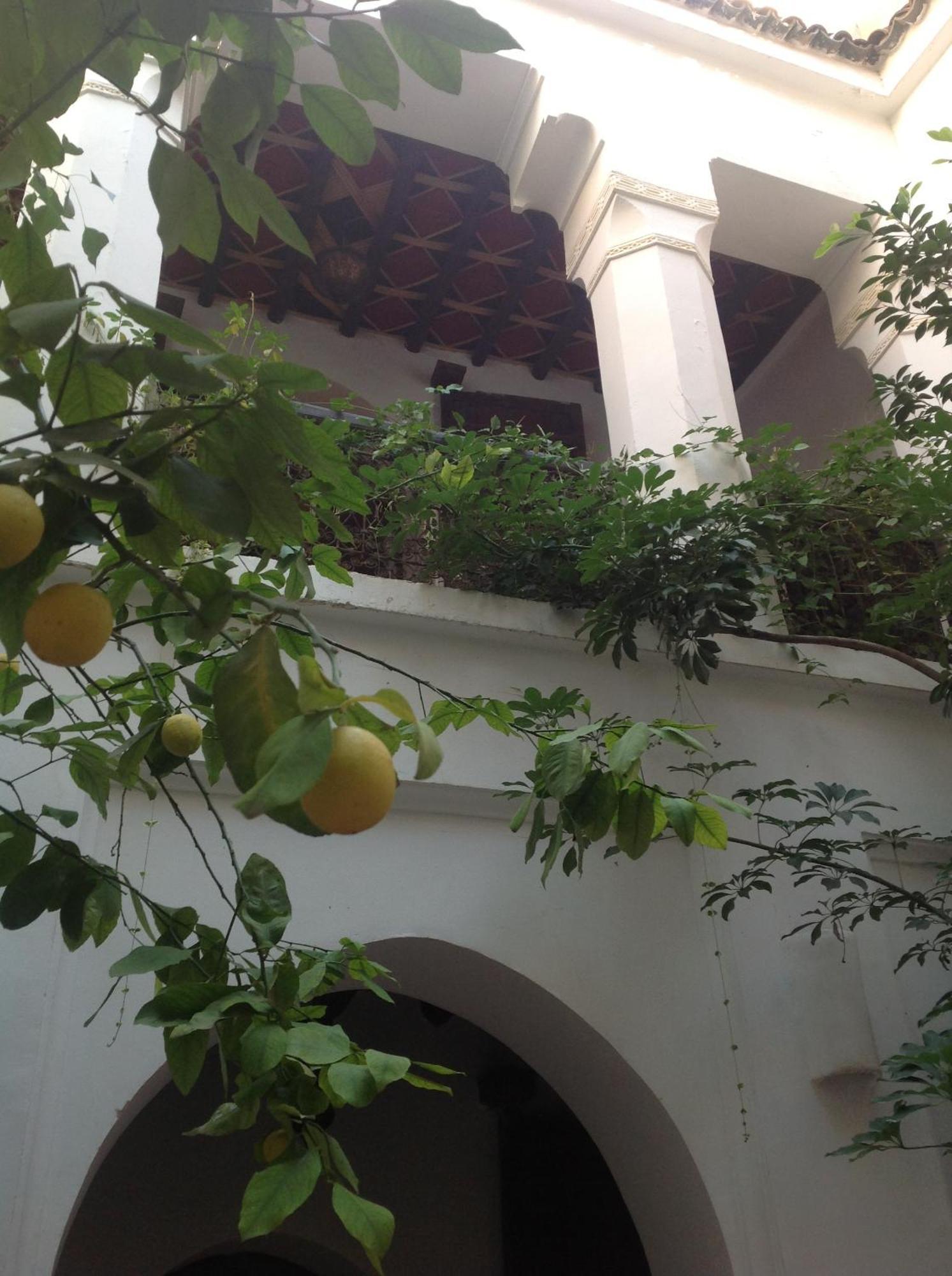 Riad Dar Lalla Fatna Marrakesh Ngoại thất bức ảnh